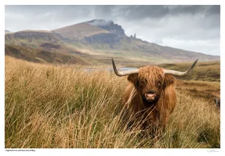 Hairy Coo and Storr