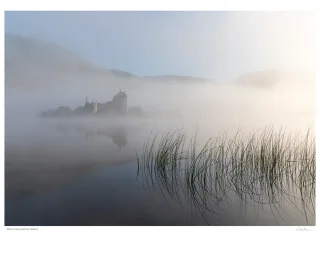 Castle in the Mist