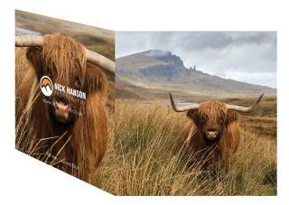 Greetings Card - Hairy Cow - £3