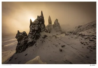 The Cold Sanctuary